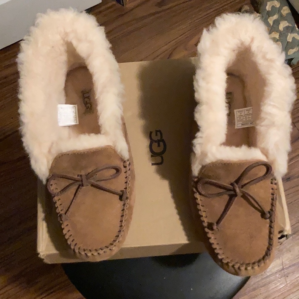 Brand new UGG alena